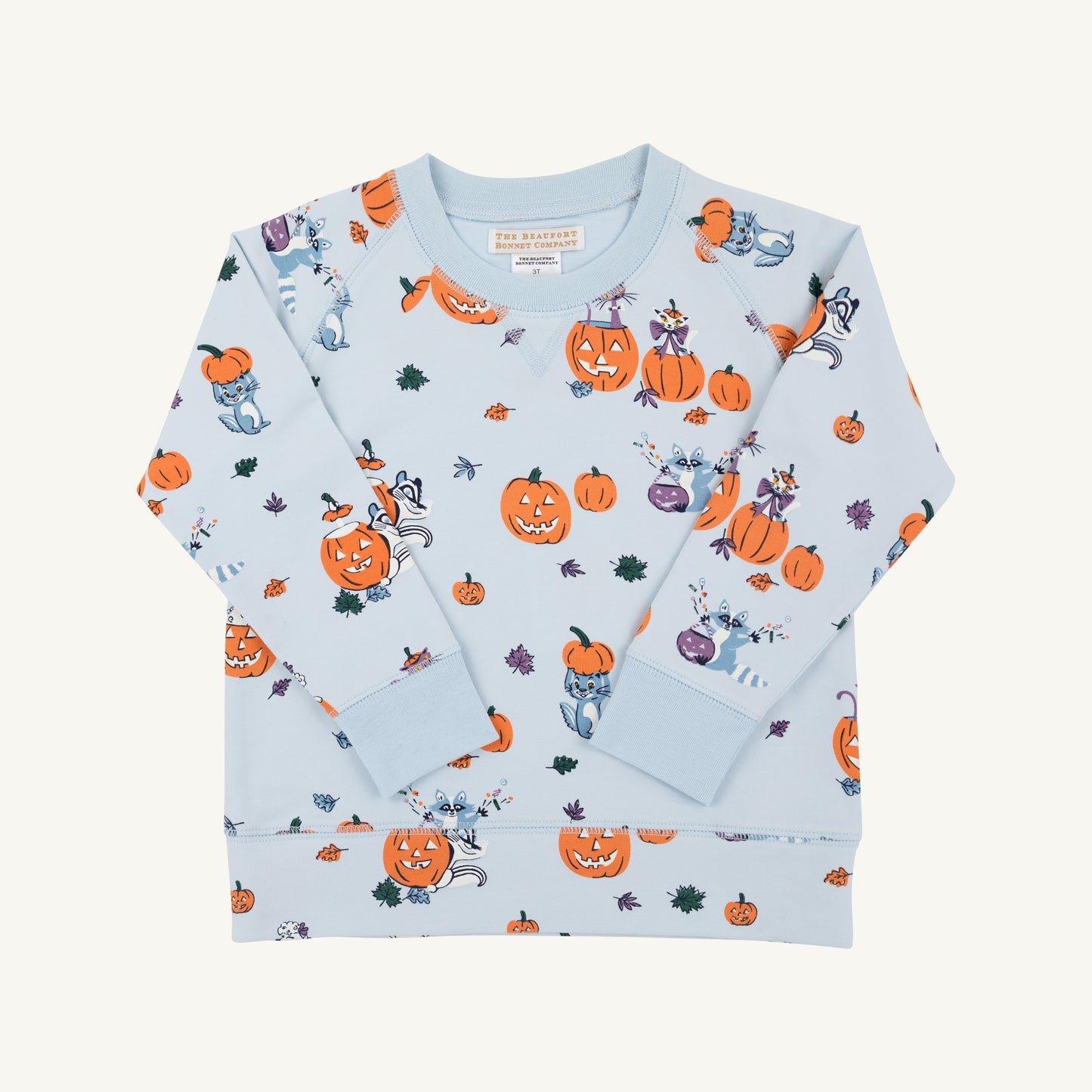 Cassidy Comfy Crewneck - Boys - French Terry Candy and Critters