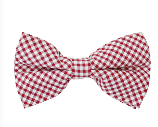 Bowentie Rutledge Red Gingham