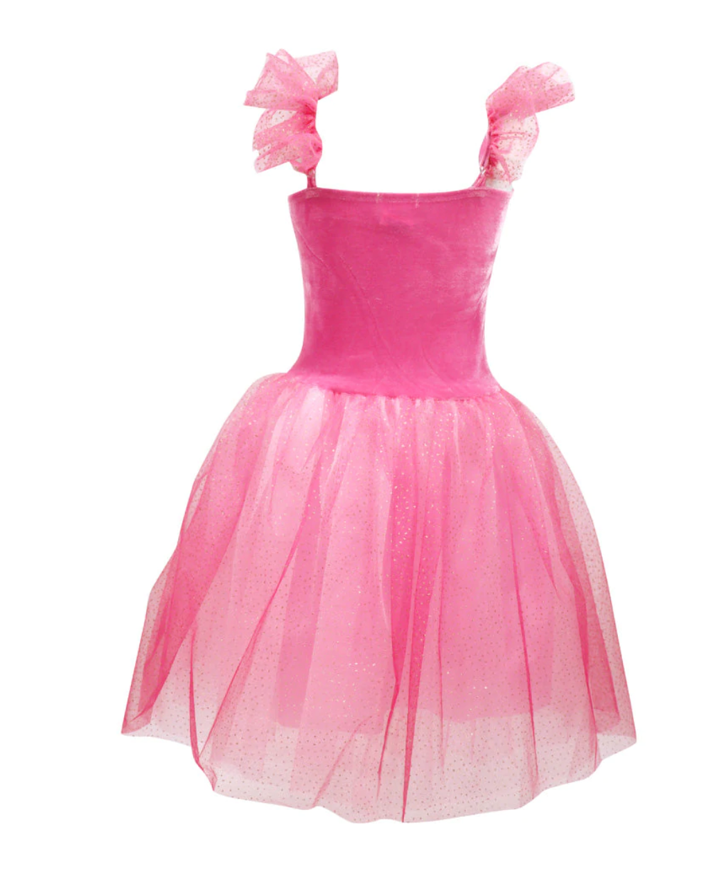 Princess Rose Velvet Dress