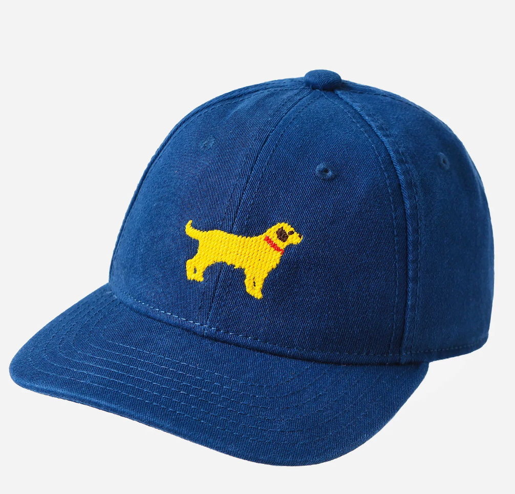 Yellow Lab on Navy Baseball Hat