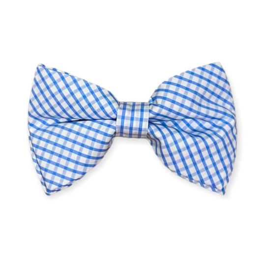 Bowentie Broughton Street Blue
