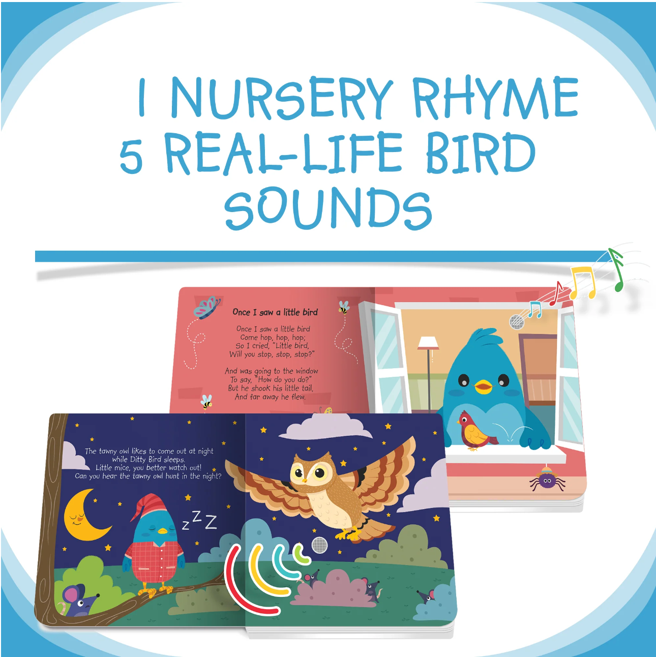 Bird Songs Sound Book