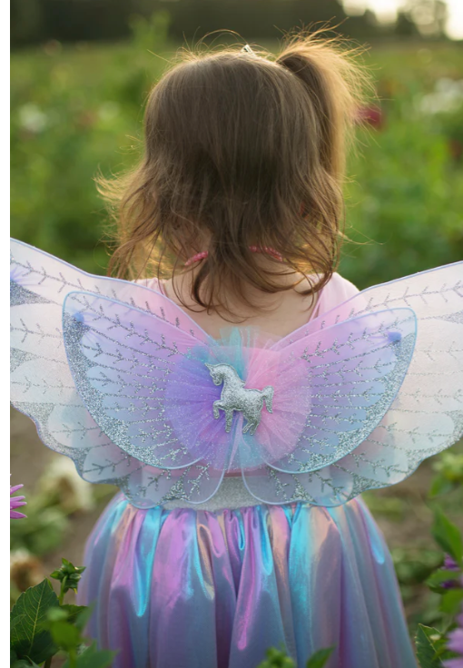 Unicorn Skirt and Wings