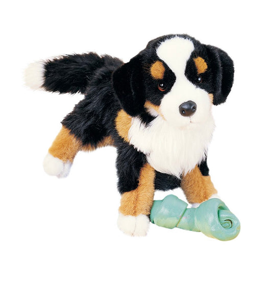 Trevor Bernese Mountain Dog